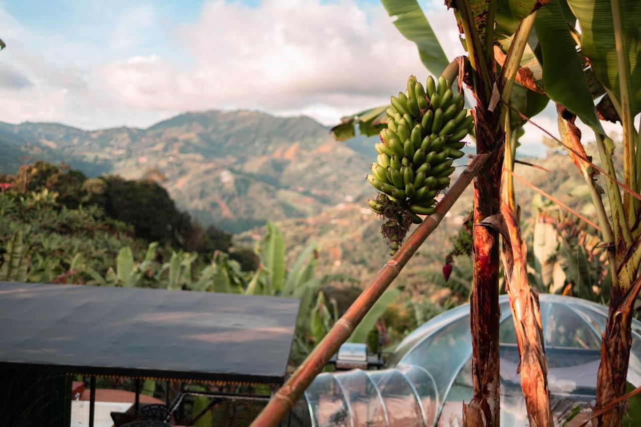 Chamí Glamping Manizales Exterior foto