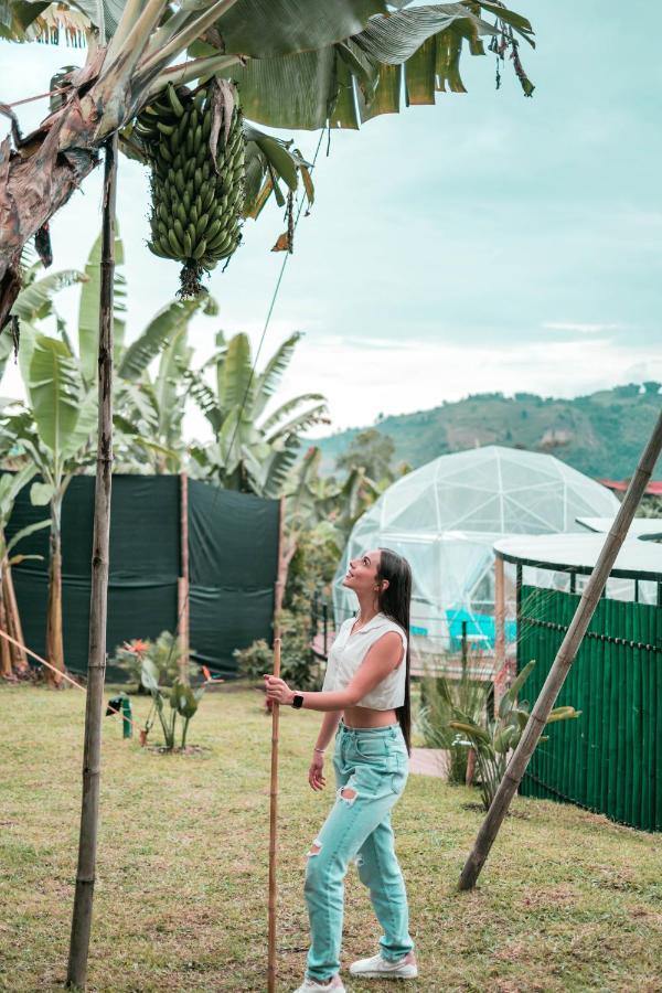 Chamí Glamping Manizales Exterior foto
