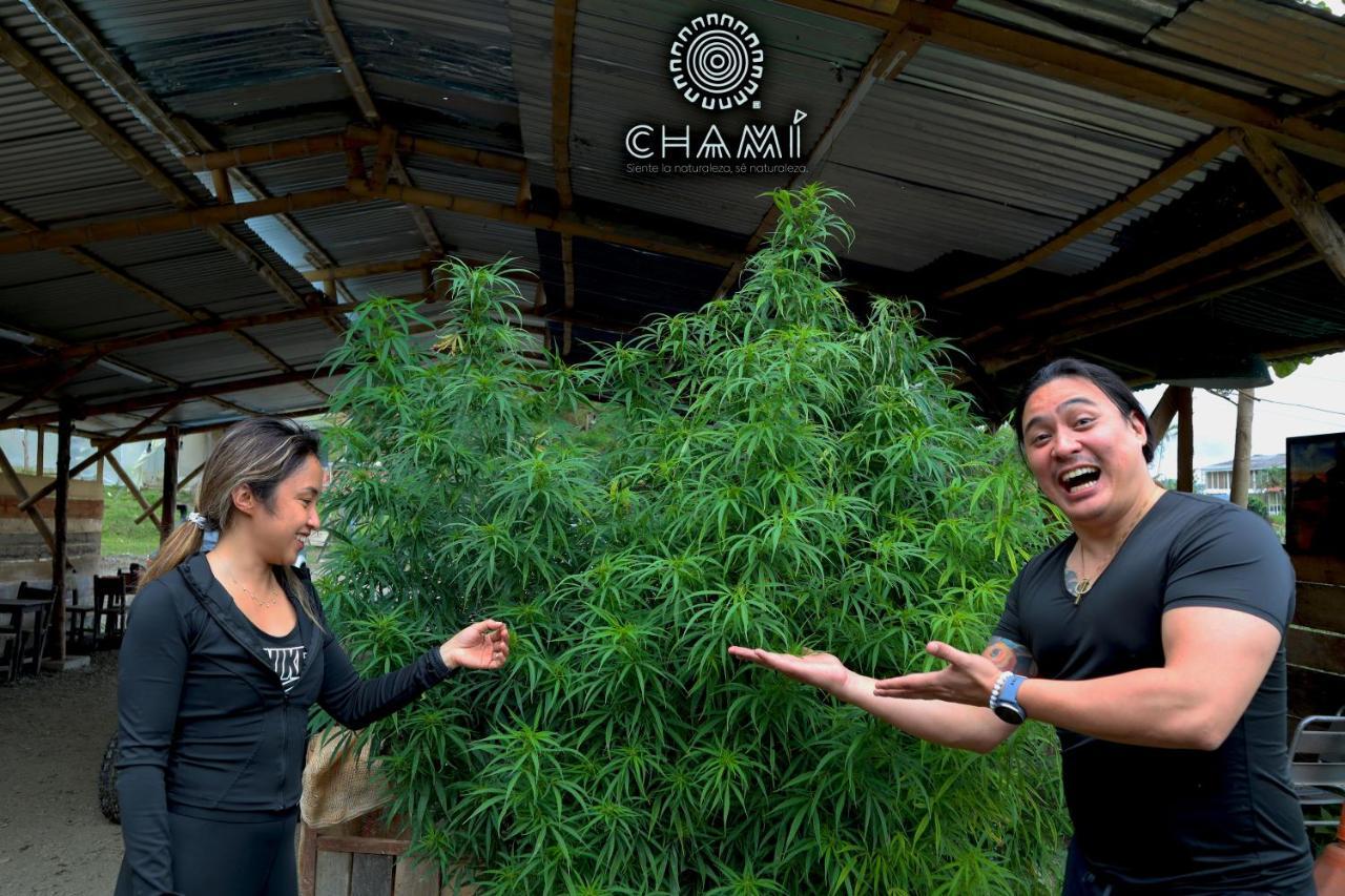 Chamí Glamping Manizales Exterior foto