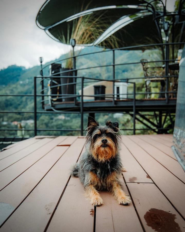 Chamí Glamping Manizales Exterior foto